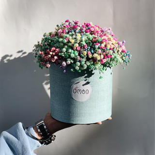 ფერადი გიფსოფილა(Medium size)