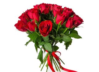 17 Рози, червени | 1 pieces