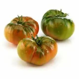 Tomate Raff Kilos