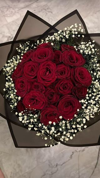 Elegant wrapped Dozen red rosees