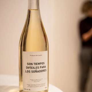 Son Tiempos Difíciles Para Soñadores