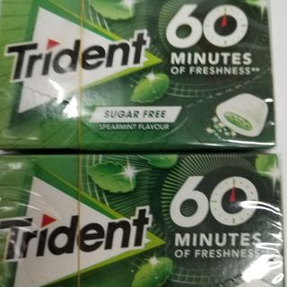 Trident 60 Minutos Hierba Buena (1 Paquete)