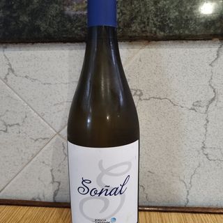 Vino Ribeiro (750 ml.)