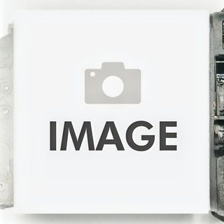 31. Свинско със зеленчуци (600г)