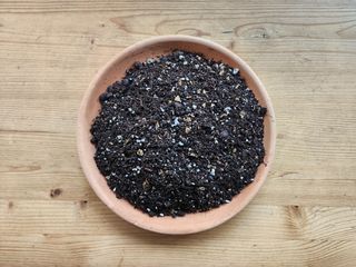 Soil for Succulents 3 L.
