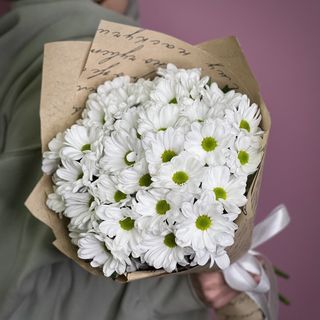 ქრიზანთემა Lux