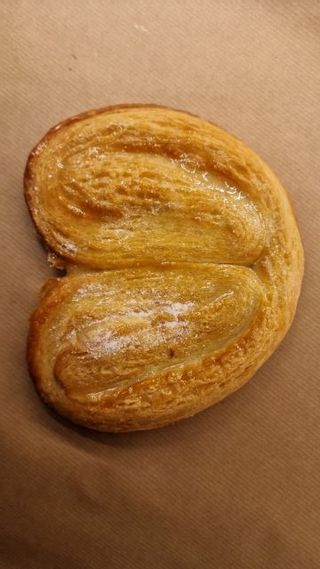 Palmera Azucar 1 Ud.