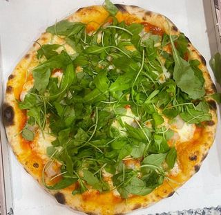 Rucola