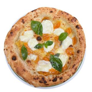 ECCELLENZA CAMPANA GOLD - INT