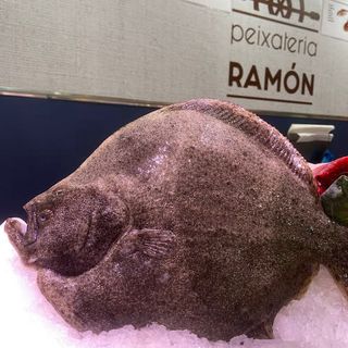 Rodaballo Gallego (1,3 kg)  Entero Horno