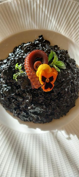 Crni risotto sa hobotnicom 350g