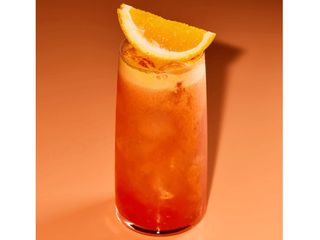 Garibaldi del SUD