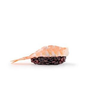 Nigiri Gambero Cotto - Black