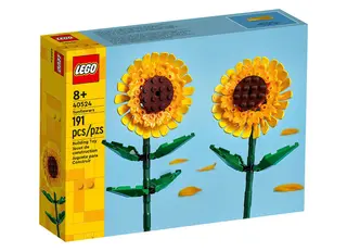 Floarea soarelui - 40524