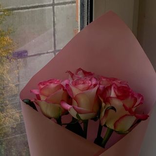 ვარდისფერი ვარდები