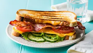 Sandwich grill