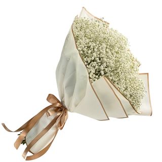 Gypsophila in buchet