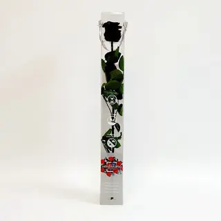Una Rosa Negra Preservada