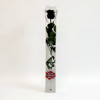 Una Rosa Negra Preservada