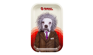 ზიპ-ბეგი 10x 'Amsterdam Picnic' 70x60 mm
