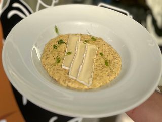 Сирна вівсянка