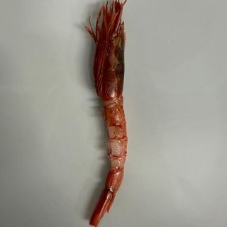 Gambero rosso  medio - 1 pezzo