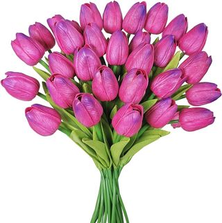 20 tulipani fucsia extra