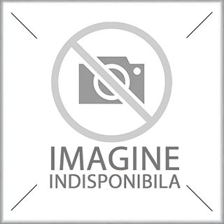 Salată cu piept de pui - 350g