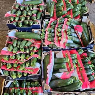 Zucchine genovesi 9 kg (Promo)