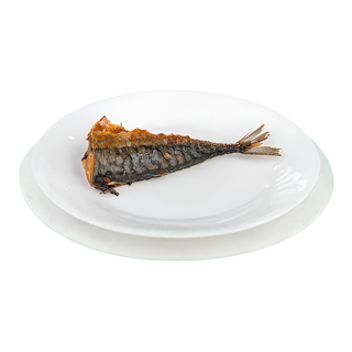 Tail Ice Fish
