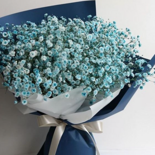 Bukiet niebieskiej gipsówki 