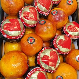 Arancie tarocco ippolito