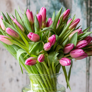 Bukiet tulipanów Barcelona 51 