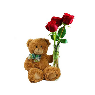 3  Roses Rouges et Nounours – Amour et Tendresse