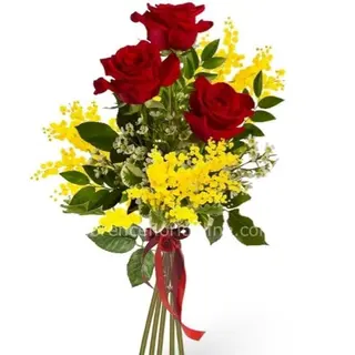 rose e mimosa 