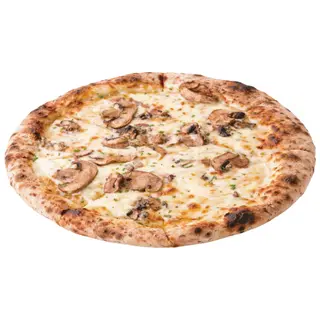   PIZZA FUNGHI           