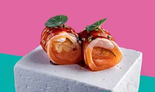 Salmon Lounge 2pz