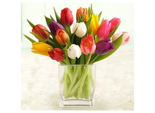 Микс лалета 15 бр