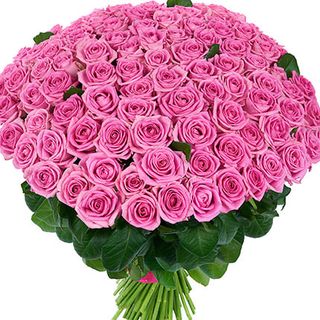 101 рожева троянда