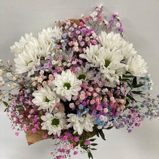 029-MARGARITA S PARA TI