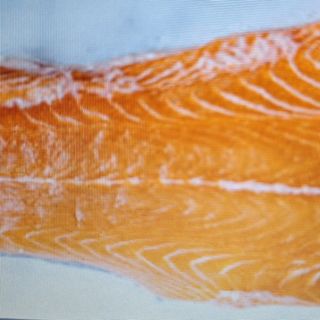SALMÓN 
