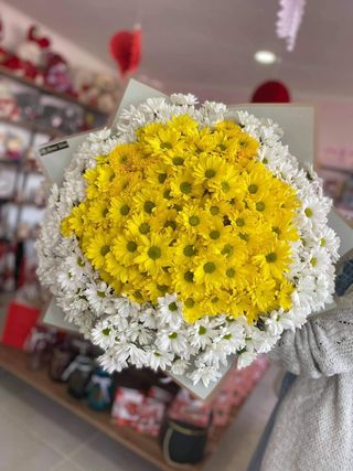 თაიგული 10