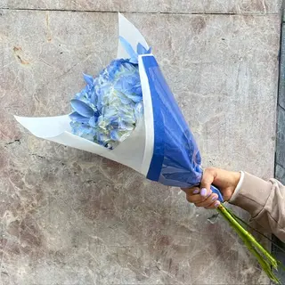 Hortensias Azules ( 3 Tallos )