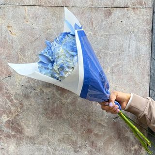 Hortensias Azules ( 3 Tallos )