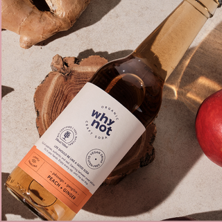 Why Not? Soda - pêssego e gengibre