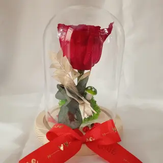 Rosa Preservada Roja en Cúpula Pequeña