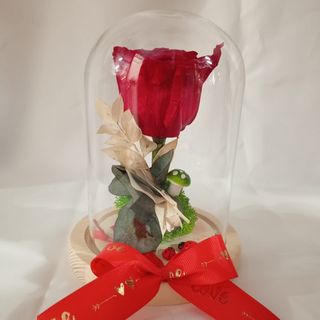 Rosa Preservada Roja en Cúpula Pequeña