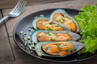 გამომცხვარი მიდიები