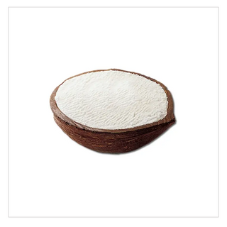Cocco ripieno 