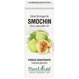 Extract din muguri de smochin (FICUS CARICA)